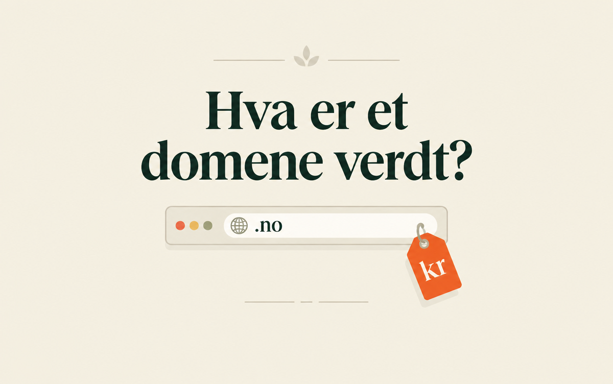 Hva er et domene verdt?